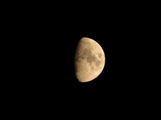 Golden first quarter moon with craters details on black sky background © sunkit