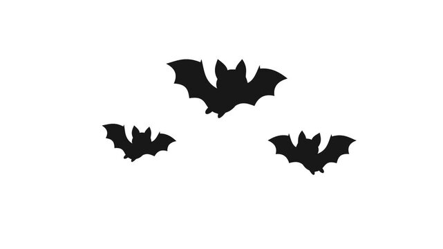 Animated Bats Flying - Black Silhouette Wildlife Motion Graphics