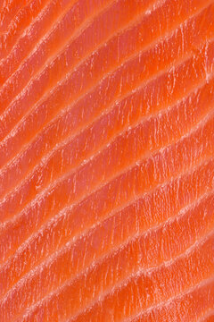 Raw salmon fillet showing natural healthy fish texture
