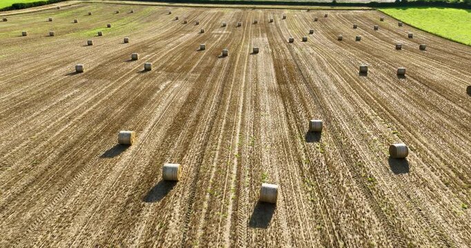 Aerial Forward Flight over Harvested Field with Round Straw Bales in Ireland