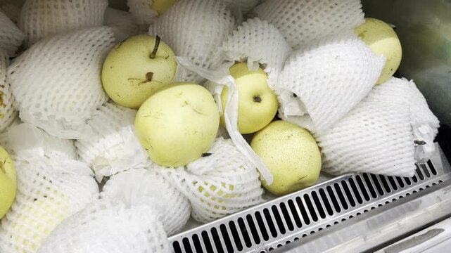 Fresh Asian pears with white foam net protection on market display