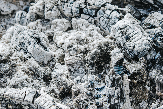 Charred wood remnants and gray ash scattered on the ground after a fire, showcasing the texture and details of burnt materials in a natural setting