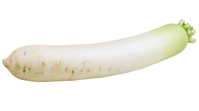 Long white daikon radish with green top