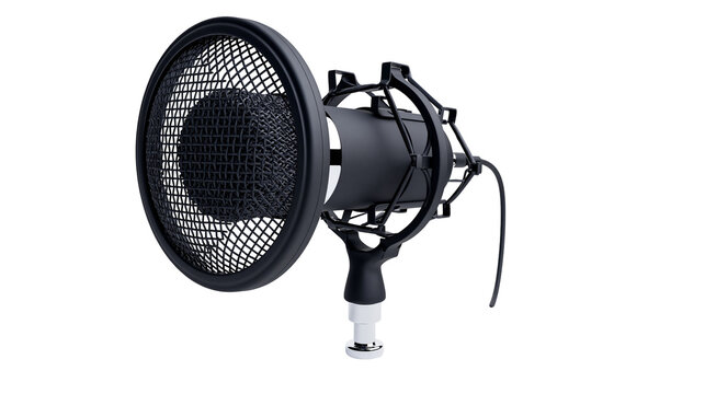 Professional studio microphone with pop filter and shock mount