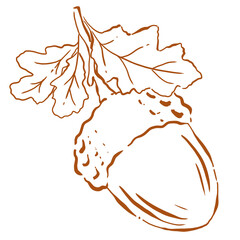 Hand Drawn Single Acorn with Oak Leaves, Rustic Autumn Woodland Botanical Line Art Illustration © lesiuoag