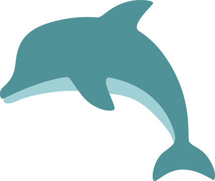 dolphin