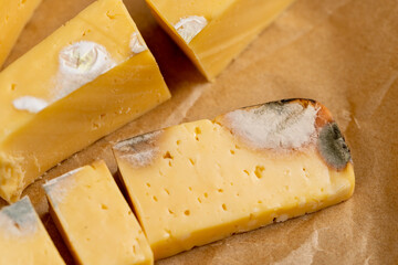 old orange cheese covered in mold, close up