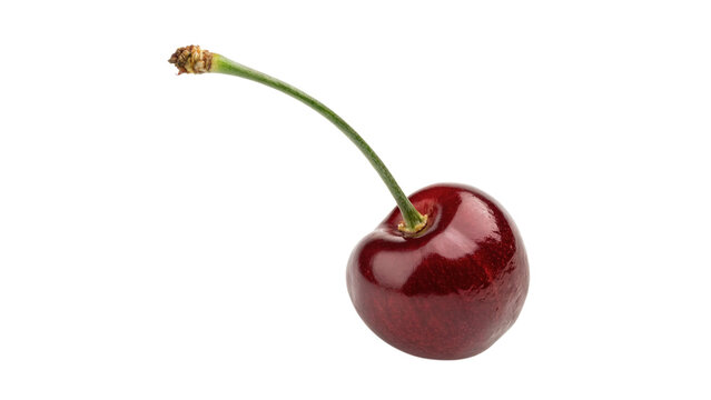 Single fresh red sweet cherry berry fruit with stem isolated on transparent background