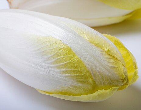 fresh endive
