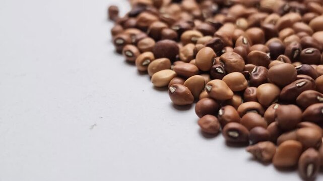 Slow motion camera movement featuring clean raw cowpea beans organized on the right side of a white background with negative space.
