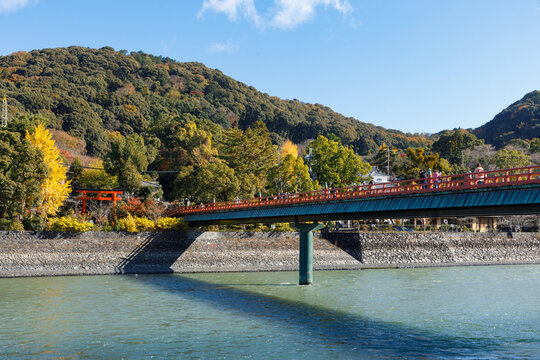 秋の宇治川と朝霧橋