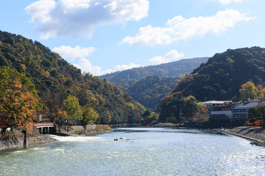 秋の宇治川　朝霧橋から上流を望む