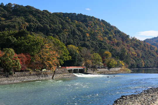 秋の宇治川