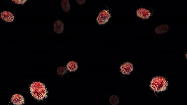 Abstract Animation Loop of Red Bacteria With Tails Floating Forward on a Transparent Background. Intestinal microbiome cells, stomach germs for biotechnology and immunology research concepts.