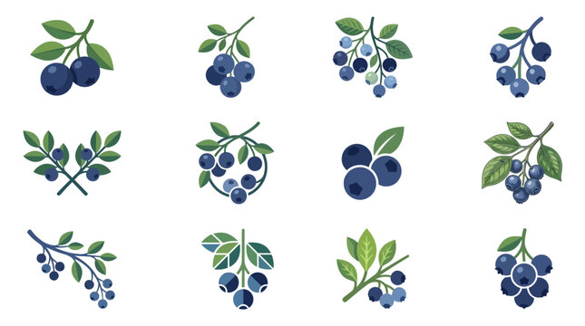 Hand drawn blueberry sprigs and bunches set.