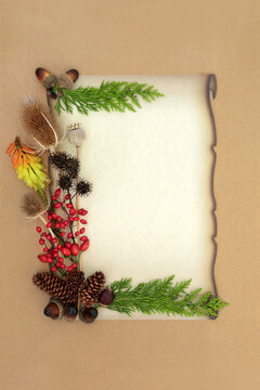 Autumn nature season red berry and fall flora symbols on old paper scroll on brown background. Retro seasonal design. Copy space.  