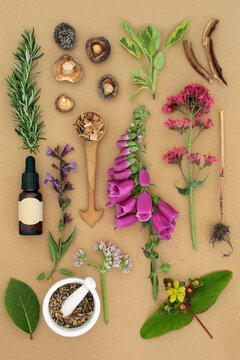 Nature based herbs, flowers, herbal medicine ingredients. Traditional natural alternative healthcare on brown paper background.