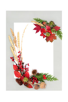 Autumn harvest festival symbols, vivid red leaves, berries, grasses, greenery on white background, gray frame. Fall nature design for Samhain festival.