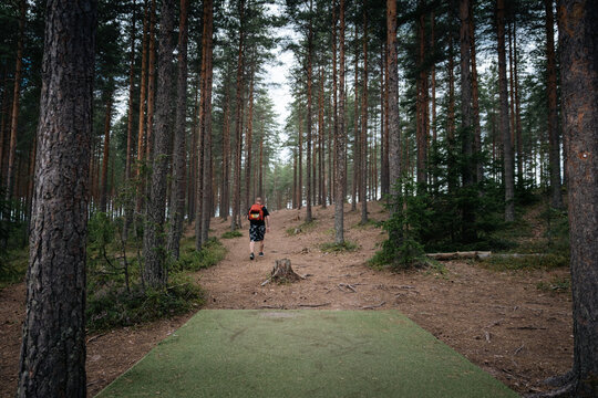 disc golf player walking in the woods