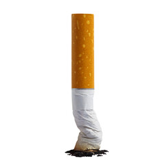 Single crushed cigarette butt standing vertically with ash, isolated on transparent cutout...