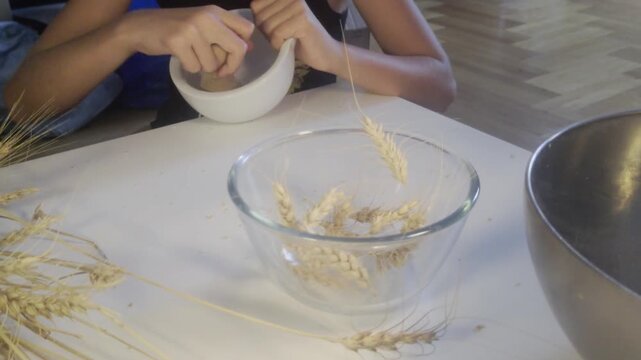 A medium shot captures a child's hands steadying a white ceramic mortar and grinding wheat grains with a wooden pestle behind a glass bowl of wheat stalks during a practical Waldorf farming lesson.