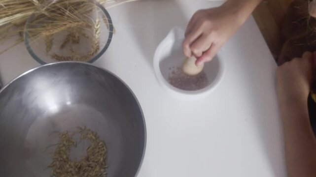 A high-angle overhead shot shows a child using a wooden pestle to grind threshed wheat grains in a mortar as part of a Waldorf education third-grade practical farming and grain processing lesson.