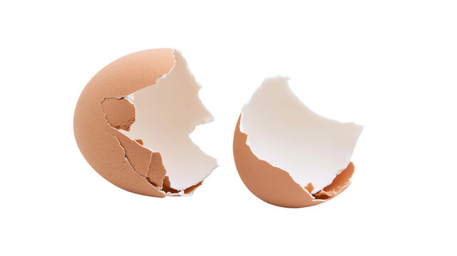 Broken brown eggshell halves with white interior