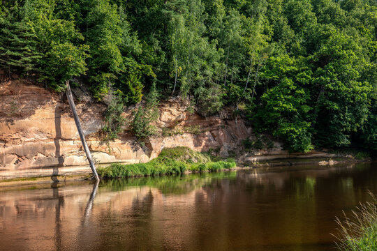 Sunlit Sandstone Riverbank Supports Dense Summer Forest Above Calm Reflective Water