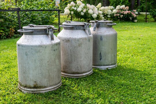 Three Vintage Milk Cans in a Green Garden Represent Dairy Farming