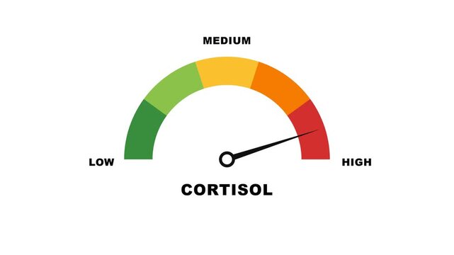 Isolated cortisol stress level gauge animation with smooth needle sweep on solid white background motion overlay