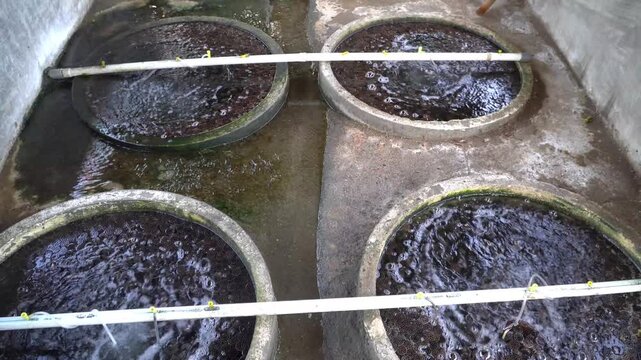 Kaldnes Biofilter Media in Recirculating Aquaculture System RAS &ndash; Biological Water Filtration for Sustainable Fish Farming 4K Video