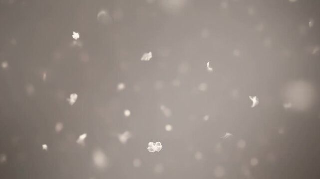 ?Gentle falling snowflakes against a soft gray background