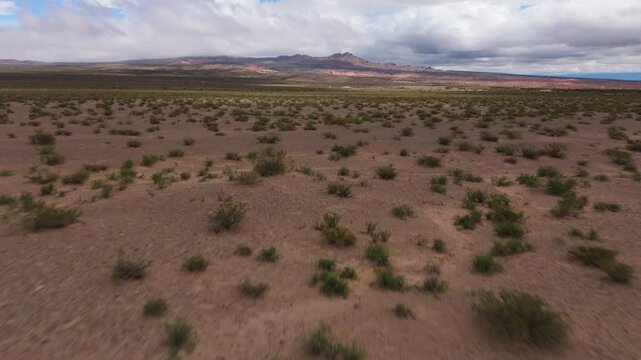 Low drone dolly forward above desert scrub near Recta del Tin Tin, aerial tilt reveal to mountains in distance