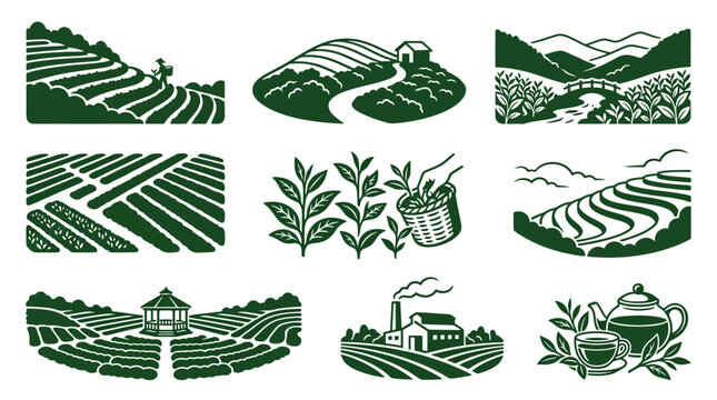 Landscape vignettes of tea plantations and terraced farm fields.