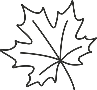 Simple Maple Leaf Line Art Vector Icon