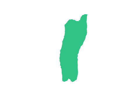 A minimalist flat green silhouette of the island nation of Madagascar isolated