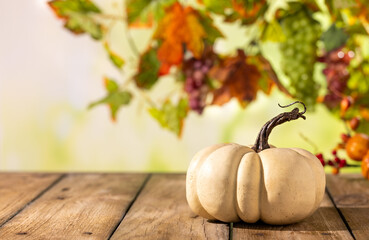 Obraz premium White pumpkin on rustic wooden table with blurred grapevine leaves for autumn harvest Thanksgiving product mockup