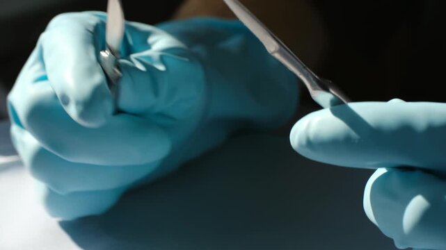 Close up gloved surgeon hands sharpening two scalpel blades against each other. Preparing surgical instruments, precision tool maintenance in operating room. Surgeon sharpening two scalpel blades.