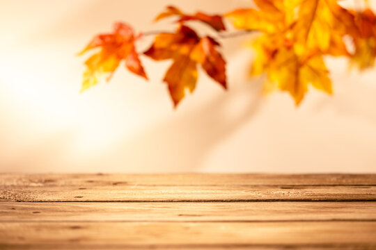 Empty rustic wooden table with hanging orange autumn leaves for warm seasonal product mockup background