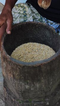 Traditional rice pounding process using wooden mortar (lesung) to separate husk from grain in Indonesia.