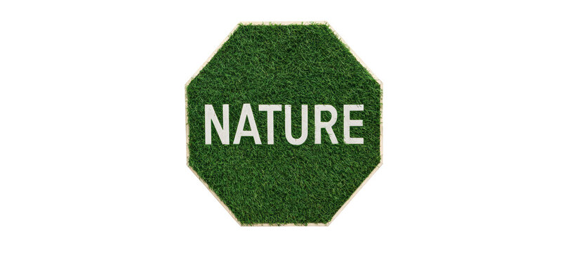 Nature word sign in hexagon green style. Environment sustainability concept. Generative AI technology.	
