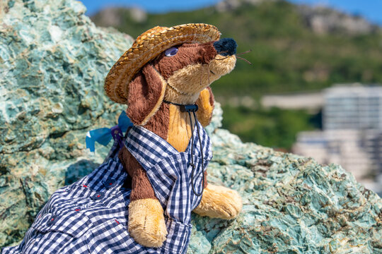 Stuffed toy dog wearing straw hat and checkered shirt on rock