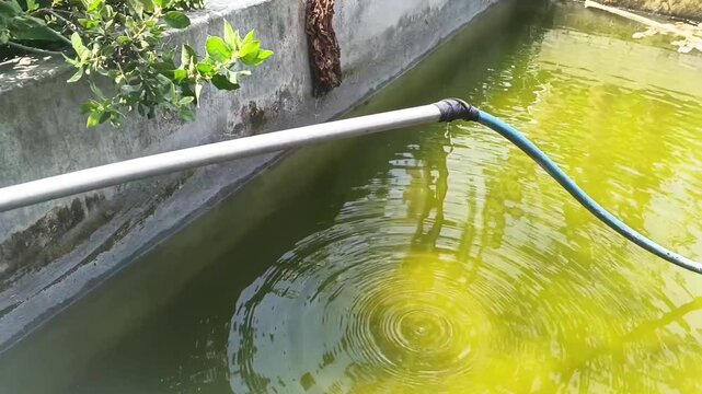Rippling Water Surface After Droplets Fall into a Yellowish Green Pond