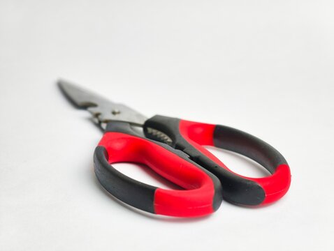 Close-up perspective of red and black ergonomic handles on stainless steel kitchen shears, isolated on a white background with shallow depth of field.