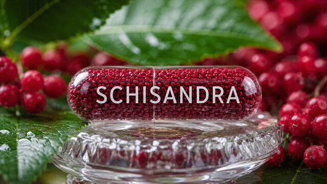 Schisandra seeds are displayed in a clear capsule on a glass dish. Fresh leaves and red berries are arranged around the capsule. This setting suggests a natural setting or display