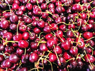 Fresh ripe dark red cherries piled together in a market display. Ideal for fruit packaging, food blogs, and agricultural banners. © Anna