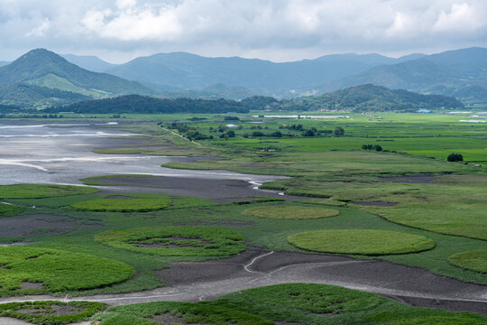 Green Wetland and Tidal Flats Surrounded by Mountains