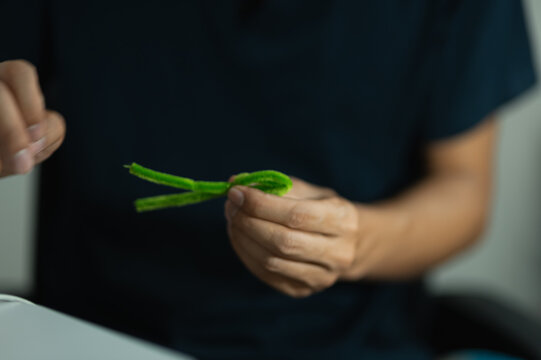Person Holding Fresh Green Onion Stem, Close-up of Hand and Vegetable