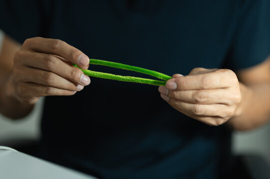 Person Holding Green Plant Material in Hands, Indoor Close-up