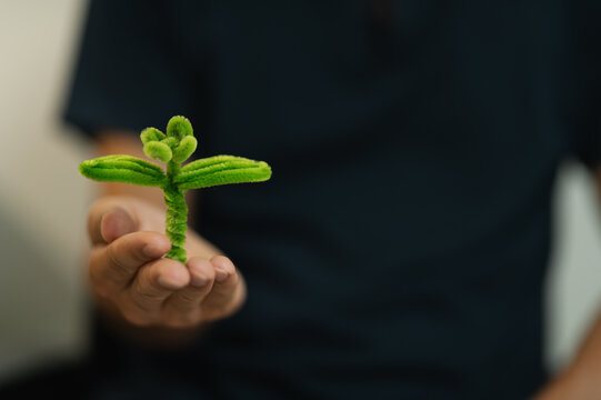 Child's Hand Holding a Small Green Plant Seedling with Soil in a Human Hand